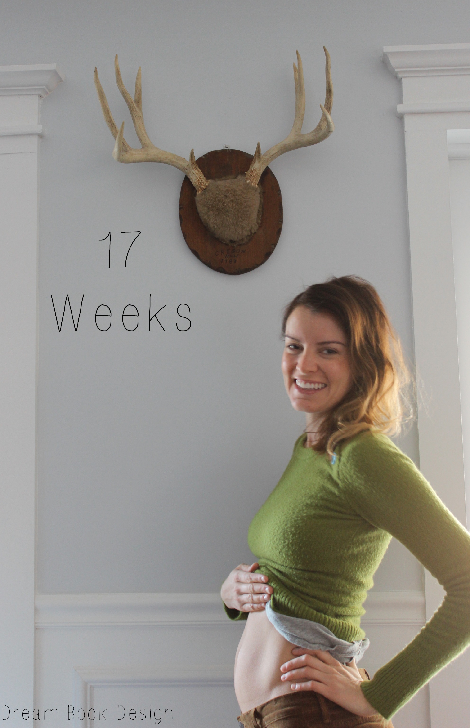 17-weeks-pregnant-dream-book-design