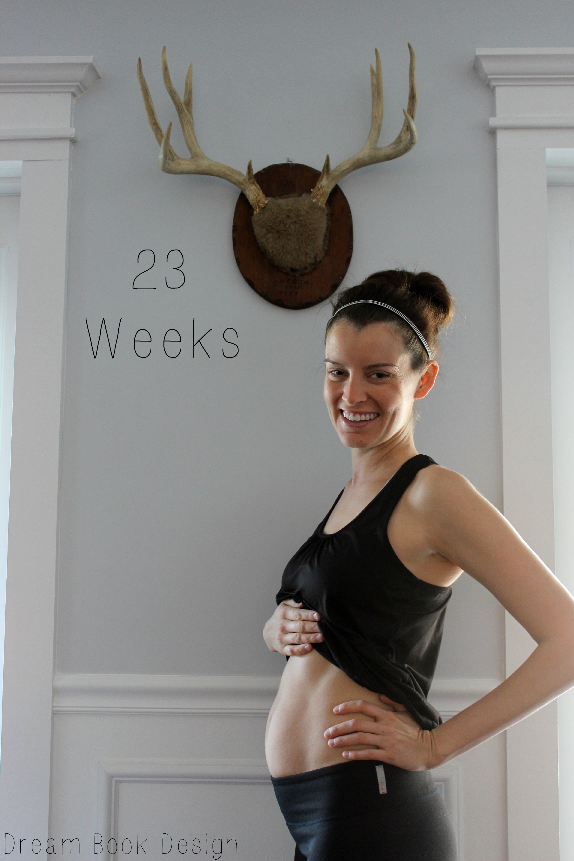 23 Weeks Pregnant Dream Book Design