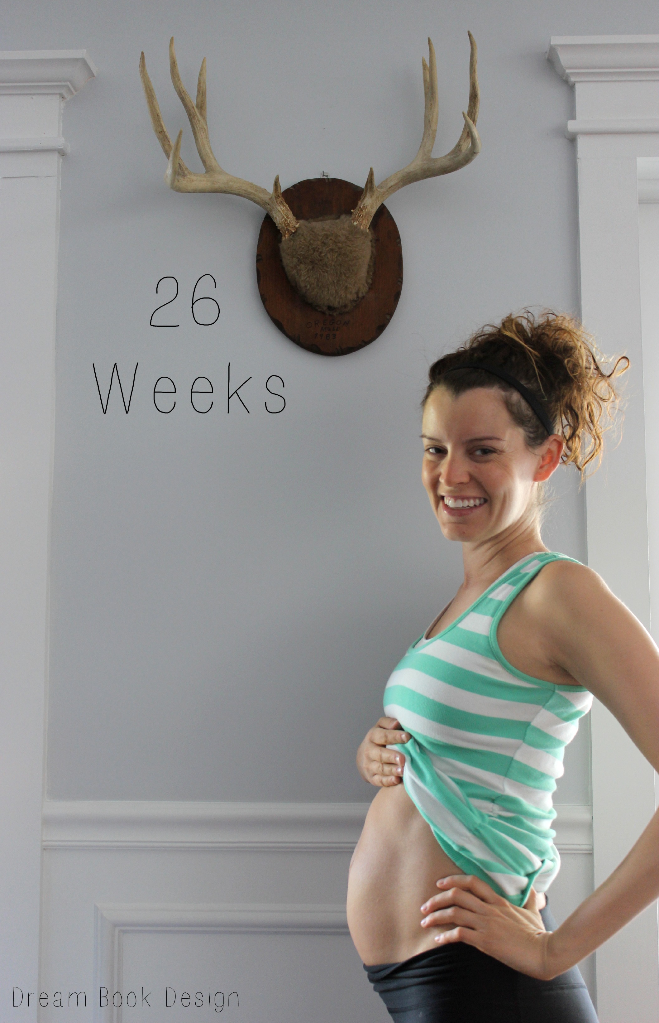 26-weeks-pregnant-dream-book-design