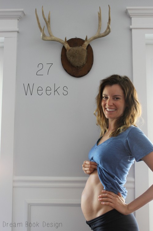 What To Know About Being 4 Weeks Pregnant 27 Weeks Pregnant With Twins How To Get Pregnant In