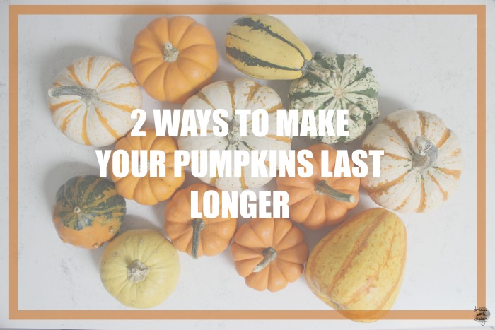 2-ways-to-make-your-pumpkins-last-longer-dream-book-design