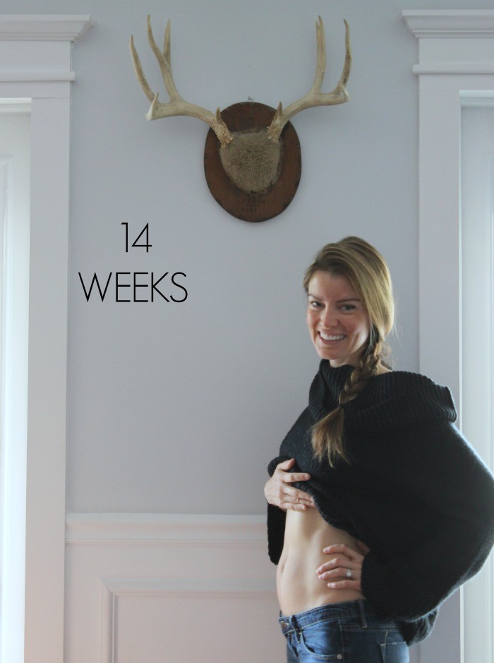 14 Weeks Pregnant - Dream Book Design