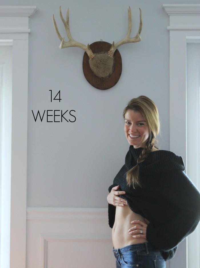 14-weeks-pregnant-dream-book-design