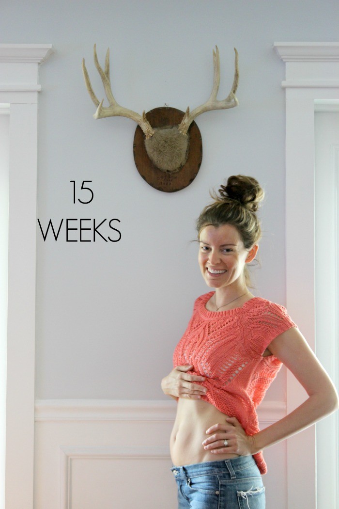 15-weeks-pregnant-dream-book-design