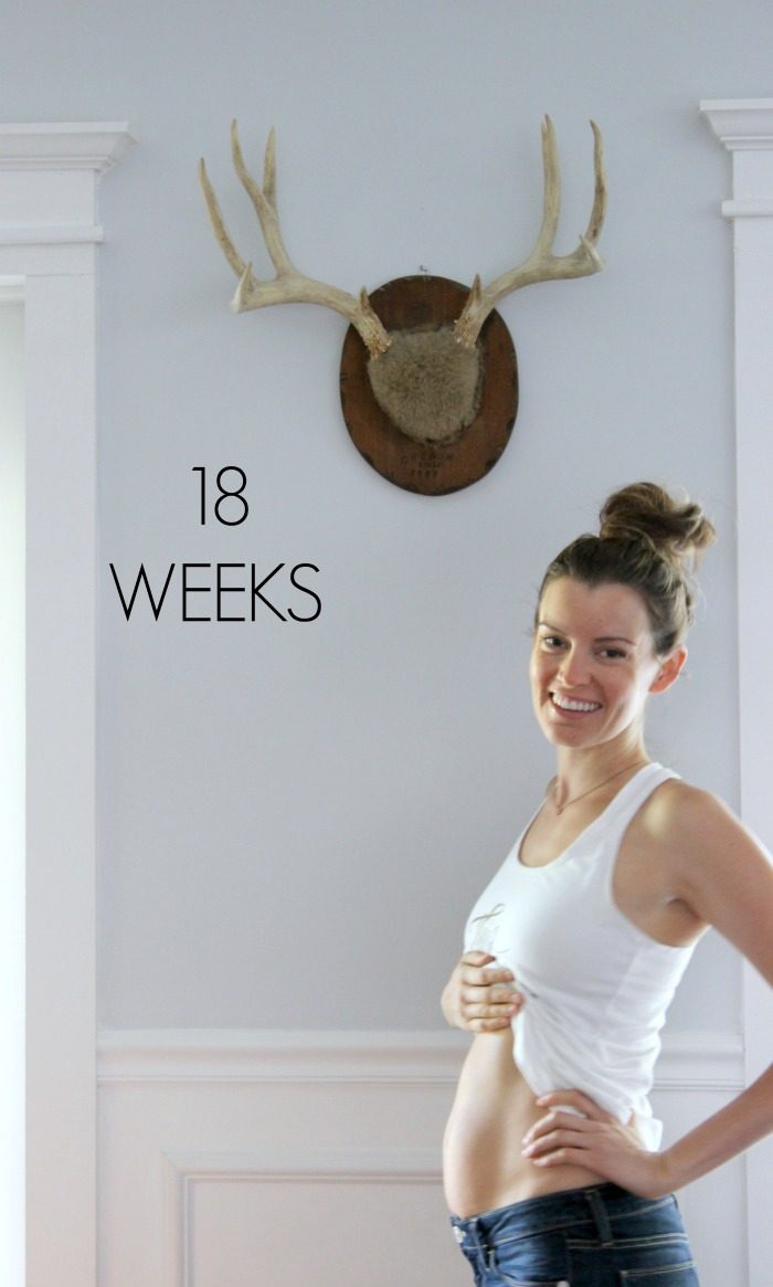 18 Weeks Pregnant Dream Book Design