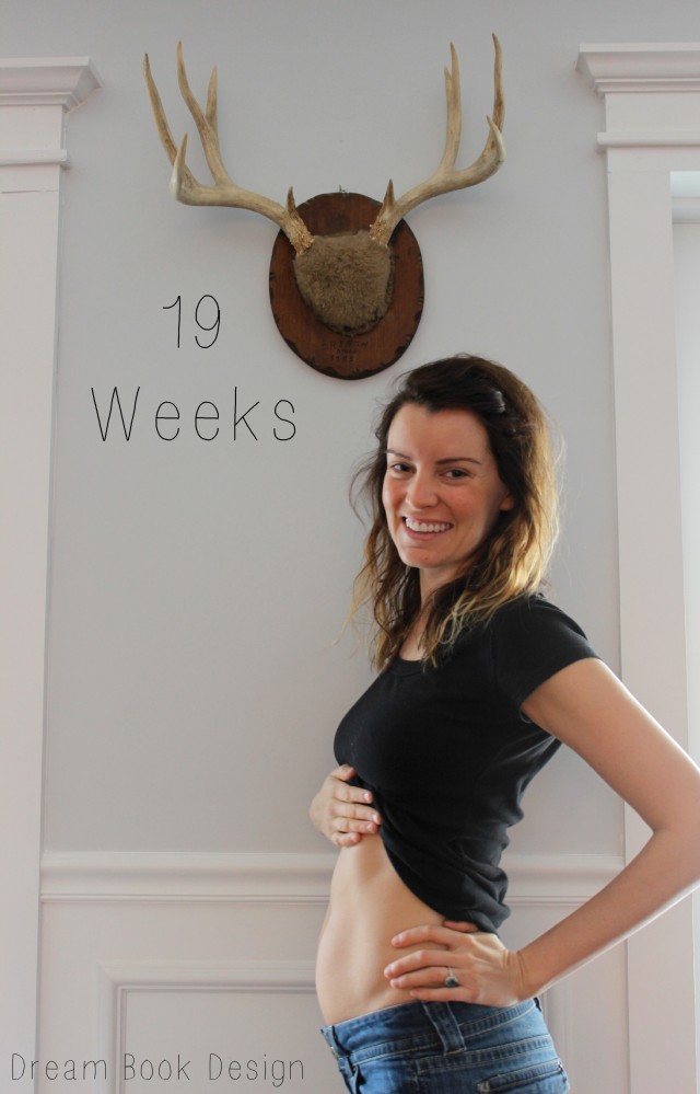 19weekspregnantbelly