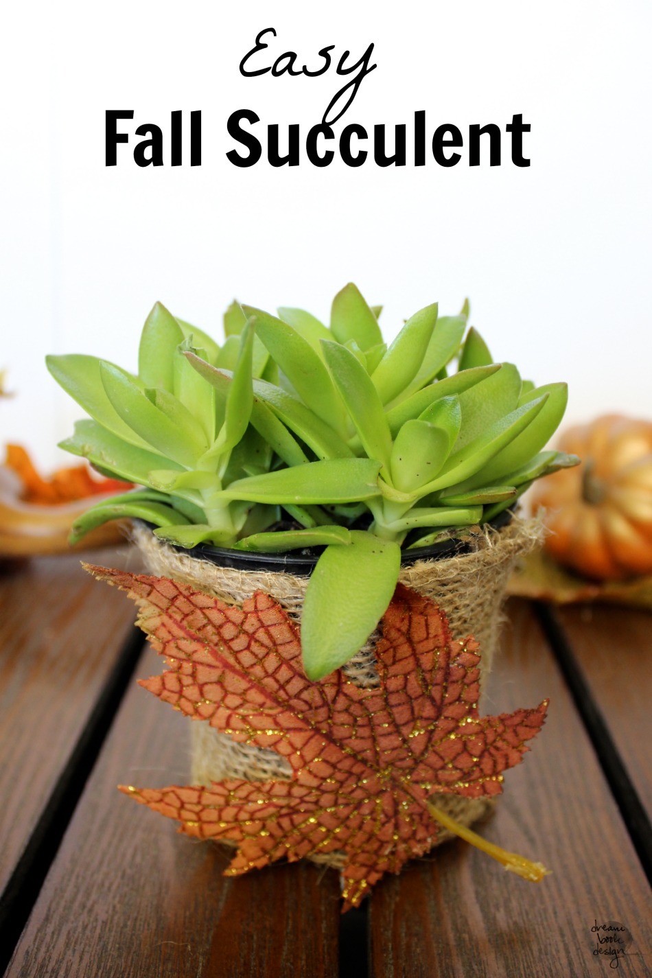 easy fall succulent pot cover