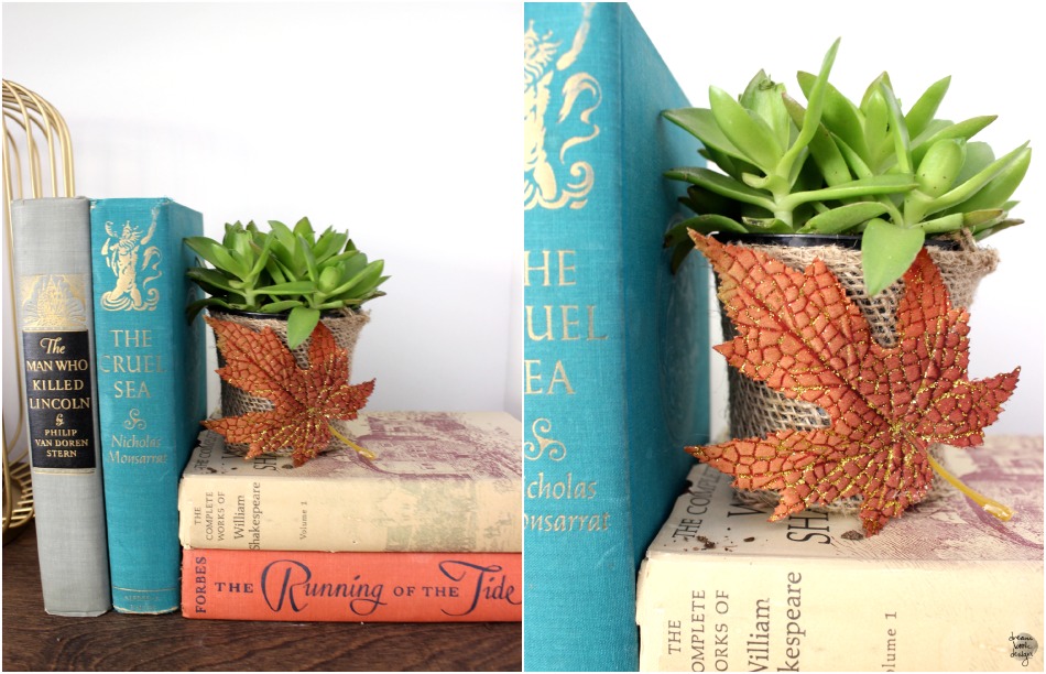 easy succulent pot cover